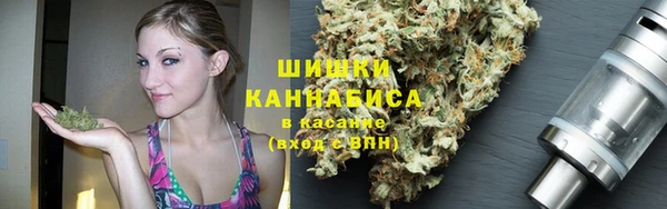 гидропоника Горно-Алтайск