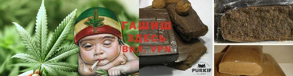 гидропоника Горняк