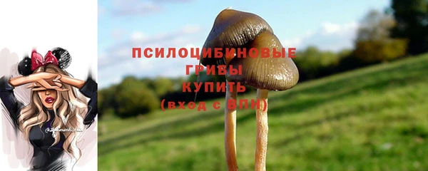 наркотики Горнозаводск