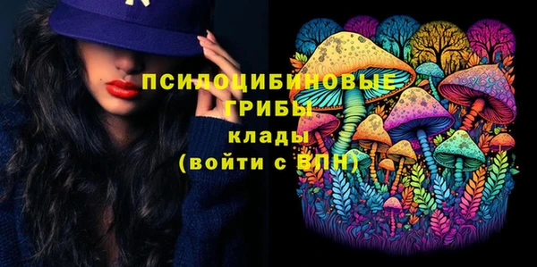 гидропоника Горно-Алтайск