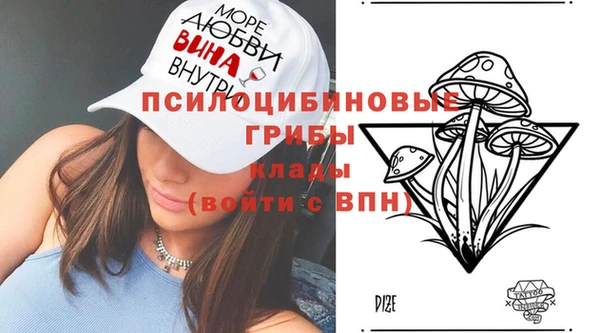 гидропоника Горно-Алтайск
