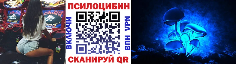 купить наркотик  Калач-на-Дону  Псилоцибиновые грибы Magic Shrooms 
