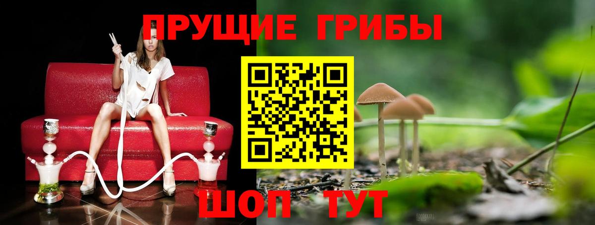 Калач-на-Дону  Галлюциногенные грибы GOLDEN TEACHER  Вход с VPN 